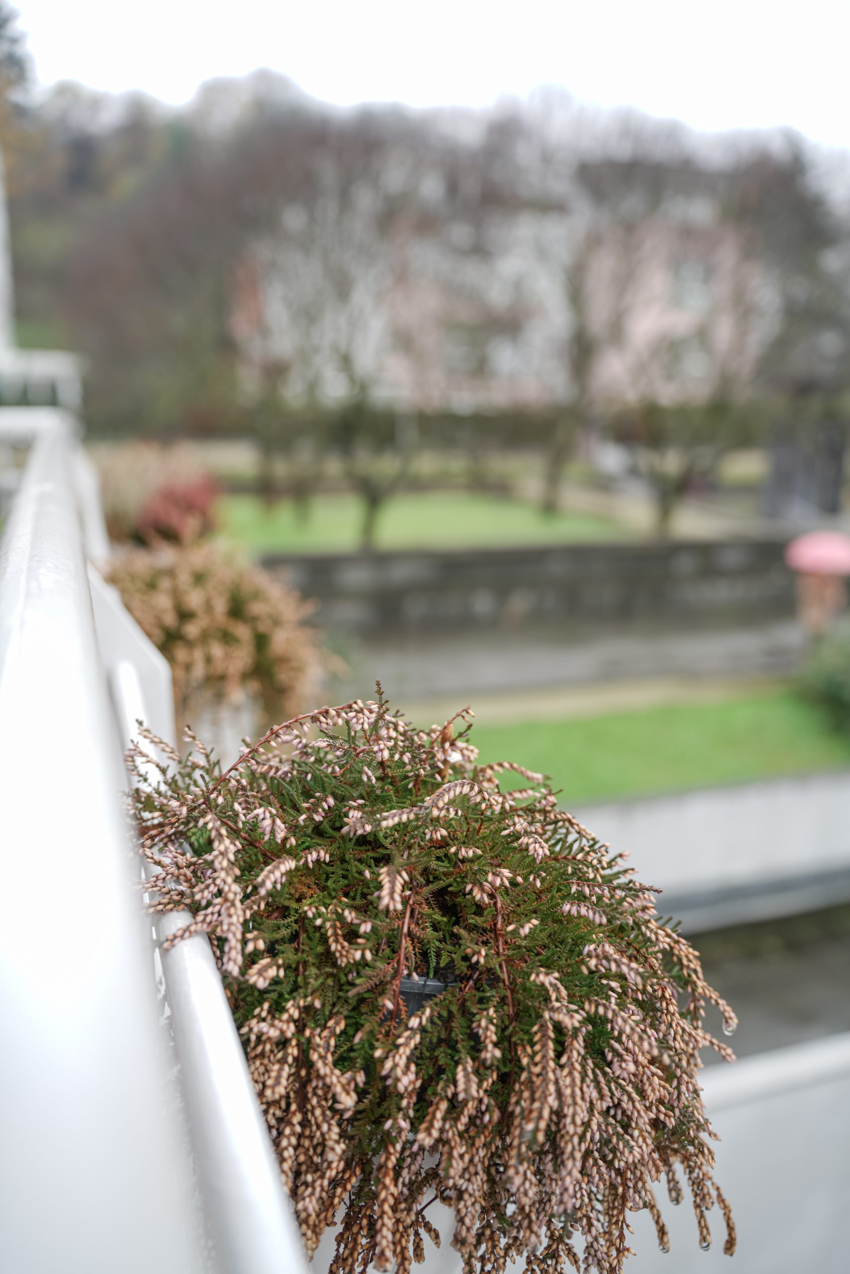 Balcony with a beautiful view